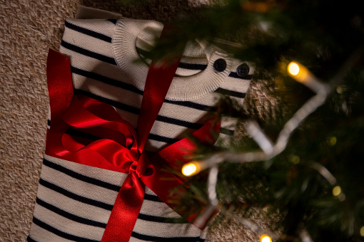 Pull marin mousqueton au pied du sapin