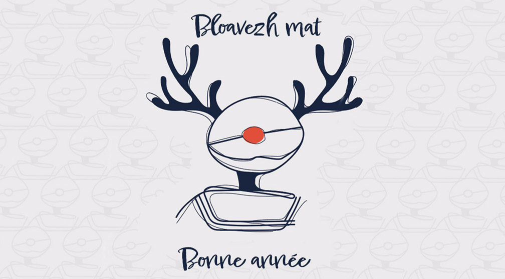 Image Bonne année 2023 !